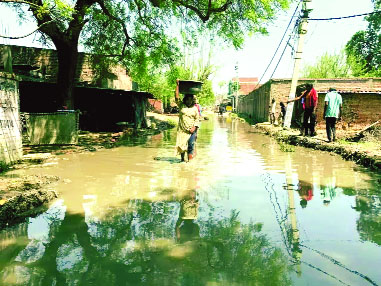 वार्ड 56 में दुश्वारियों का अंबार,गंदे पानी से होकर गुजर रहे लोग