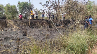 डेढ़ बीघा गेहूं की फसल आग लगने से हुई जलकर राख